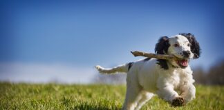 Jak odzyskać pieniądze na konto z Bitcoin?