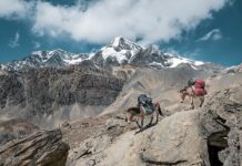 Jaka jest najnowsza konsola Xbox? Jaka jest najnowsza konsola Xbox?