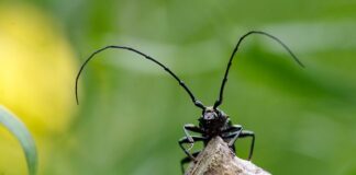 Ile pieniędzy ma Musk? Ile pieniędzy ma Musk?