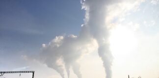 Jakie branże mają przyszłość? Jakie branże mają przyszłość?